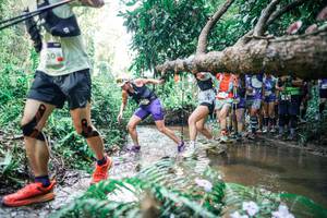 BIB: 
                            <button type="button" onclick="openModal(25470310)" class="btn btn-primary btn-sm float-right btn-popup" data-toggle="modal" data-target=".modal-high-quality">
                        <i class="fas fa-shopping-cart"></i> Add to Cart
                    </button>
                                            <button type="button" onclick="isThisMe(25470310, true)" class="btn btn-success btn-sm float-right btn-popup btn-isme hidden" data-toggle="tooltip" data-placement="bottom" title="นี่คือรูปของคุณใช่ไหม คลิกที่นี่เพื่อเอาเข้าอัลบั้ม">
                        <i class="fas fa-plus"></i> Add to album
                    </button>
                    <button type="button" onclick="isThisMe(25470310, false)" class="btn btn-warning btn-sm float-right btn-popup btn-isnotme hidden">
                        <i class="fas fa-ban"></i> Remove from album
                    </button>